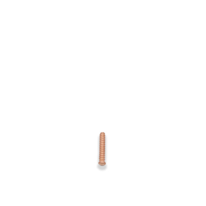 Steel self-thread rivets 5x25mm - 100pcs