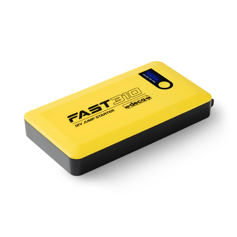 FAST 310 - immagine 2