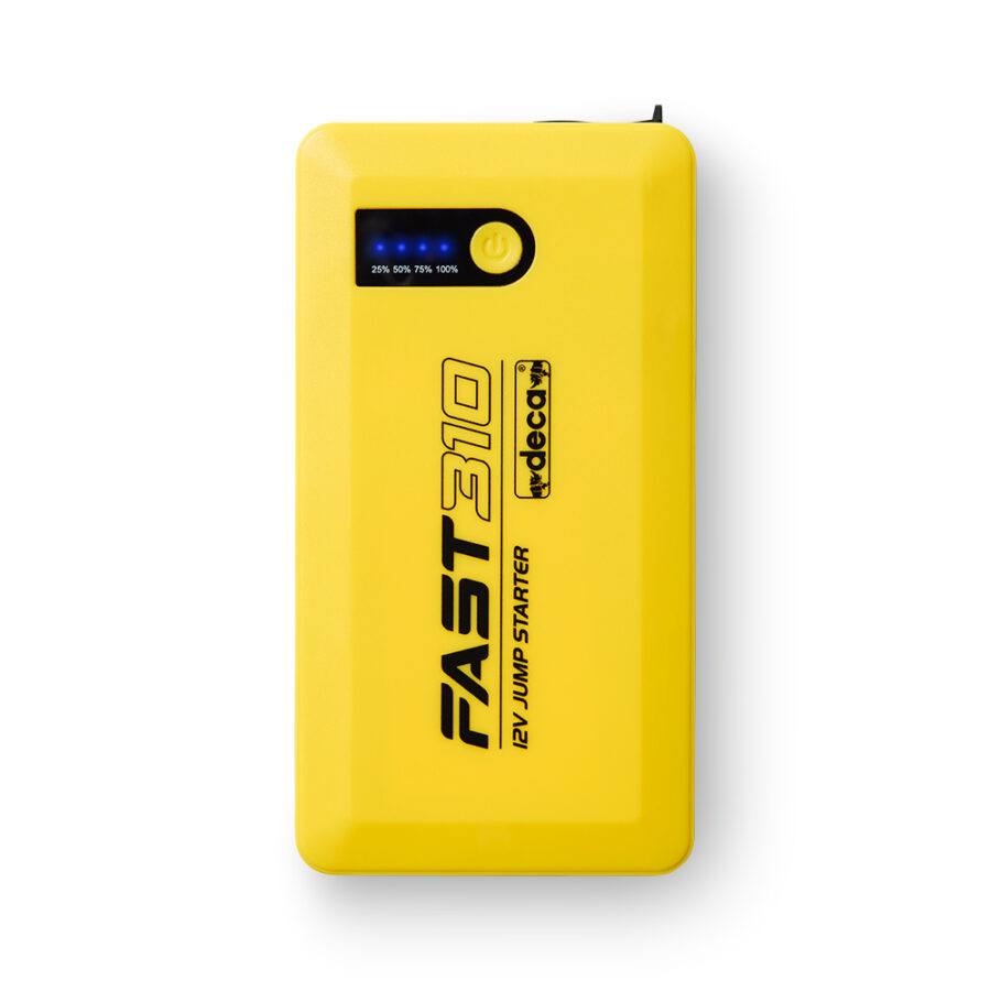 FAST 310 - immagine 3